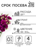 Семена цветов Эустома «Эхо» голубая F1, гранулы в пробирке, 4 шт., однолетник, Sakata - Фото 2