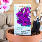 Семена цветов Эустома "Эхо" голубая F1, гранулы, пробирка, О, ц/п, 4 шт. - Фото 1