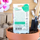 Семена цветов Эустома "Эхо" голубая F1, гранулы, пробирка, О, ц/п, 4 шт. - Фото 2