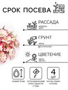 Семена цветов Эустома «Эхо Пикоти» F1, розовая, гранулы, пробирка, 4 шт. - Фото 2