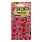 Семена цветов Флокс "Очарование лососевое", ц/п,  друммонда, О, 0,05 г - Фото 1