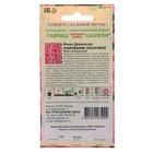 Семена цветов Флокс "Очарование лососевое", друммонда, О, 0,05 г - Фото 2