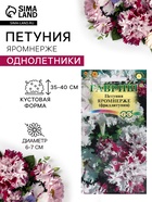 Семена цветов Петуния «Яромнерже» (фриллитуния), в пробирке, 7 шт., однолетник, «Гавриш» - Фото 3