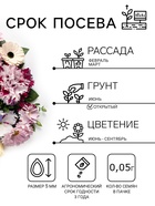 Семена цветов Петуния «Яромнерже» (фриллитуния), в пробирке, 7 шт., однолетник, «Гавриш» - Фото 4