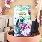 Семена цветов Петуния "Яромнерже", ц/п, О, пробирка, ц/п, 7 шт. - Фото 1