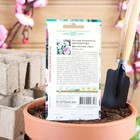 Семена цветов Петуния "Яромнерже", ц/п, О, пробирка, ц/п, 7 шт. - Фото 2