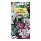 Семена цветов Петуния «Яромнерже» (фриллитуния), в пробирке, 7 шт., однолетник, «Гавриш» - Фото 2