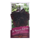 Семена цветов Петуния «Чёрный бархат», F1, крупноцветковая, гранулы в пробирке, 4 шт., однолетник, «Гавриш» - Фото 1