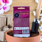 Семена цветов Петуния «Чёрная вишня», F1, многоцветковая, гранулы в пробирке, 4 шт., однолетник, «Гавриш» - Фото 2