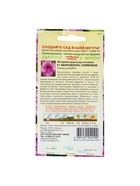 Семена цветов Петуния "Мороженое сливовое" F1 крупноцветковая, О, гранулы, пробирка, ц/п, 5 шт. 1774 - фото 34676193