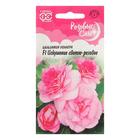 Семена цветов Бальзамин Уоллера "Искушение светло-розовое" F1, О, ц/п, 4 шт. - Фото 3