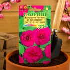 Семена цветов Бальзамин Уоллера "Искушение светло-пурпурное" F1, ц/п, О, 4 шт. - Фото 3