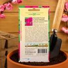 Семена цветов Бальзамин Уоллера "Искушение светло-пурпурное" F1, О, 4 шт. - фото 9301059