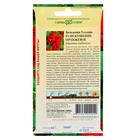 Семена цветов Бальзамин "Уоллера Искушение оранжевое" F1, О, ц/п, 4 шт. - Фото 6