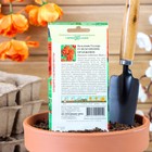 Семена цветов Бальзамин "Уоллера Искушение оранжевое" F1, О, ц/п, 4 шт. - Фото 2