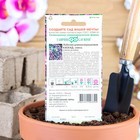 Семена цветов Лобелия "Каскад", ц/п, ампельная, О, смесь 0,01 г - Фото 2