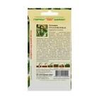 Семена Лагенария "Гусь в яблоках", ц/п, О, 5 шт. - Фото 2