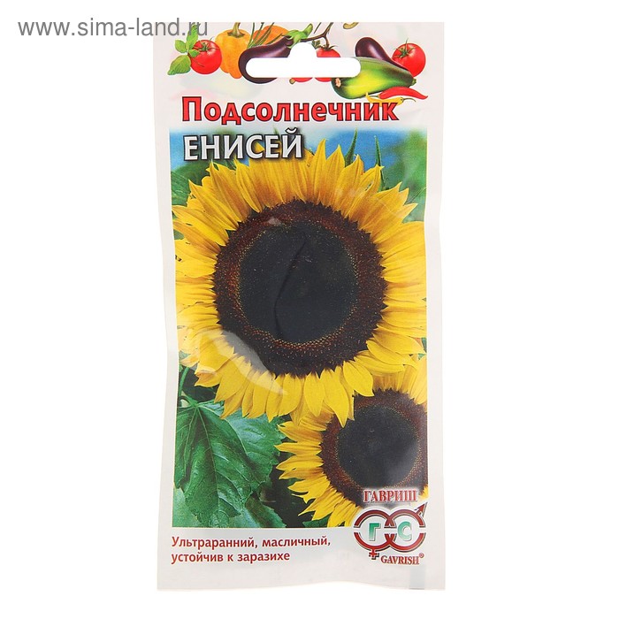 Семена Подсолнечник "Енисей", ц/п, 10 г - Фото 1