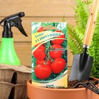 Семена Томат "Интуиция" F1, среднеспелый, индетерминантный,высокорослый,12 шт. - Фото 1