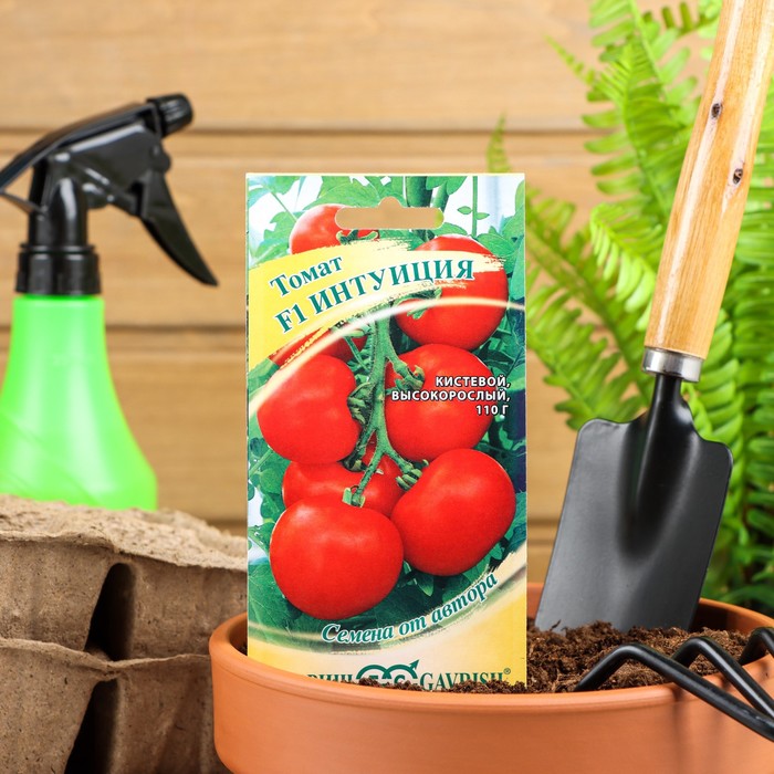 Семена Томат "Интуиция" F1, среднеспелый, индетерминантный,высокорослый,12 шт. - Фото 1