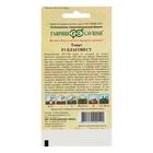 Семена Томат "Благовест" F1, раннеспелый,детерминантный,среднерослый, 12 шт. - Фото 4