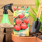 Семена Томат "Благовест" F1, раннеспелый,детерминантный,среднерослый, 12 шт. - Фото 1