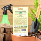 Семена Томат "Благовест" F1, раннеспелый,детерминантный,среднерослый, 12 шт. - Фото 2