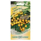 Семена Томат "Синичка", очень ранний, детерминантный,низкорослый, 0,05 г - Фото 1