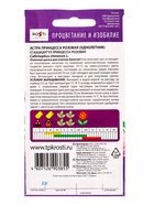 Семена цветов Астра "Принцесса", розовая, О, 0.3г (комплект 10 шт) - фото 69080972