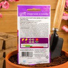 Семена цветов Петуния "Дримс" Бургунди F1, крупноцветковая, О, 10шт - Фото 5