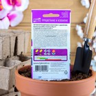 Семена цветов Петуния "Хулахуп блю" F1, О, 10шт - Фото 2