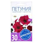 Семена Цветов Петуния «Хулахуп вельвет F1», однолетник, 10 шт., «Агроуспех» - Фото 2