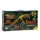 Сборная модель «3D Скелет Тираннозавра «T-Rex Skeleton»«, 54 детали (1:10) - Фото 1