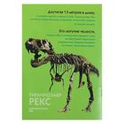 Сборная модель «3D Скелет Тираннозавра», 1:8, светящаяся - Фото 6