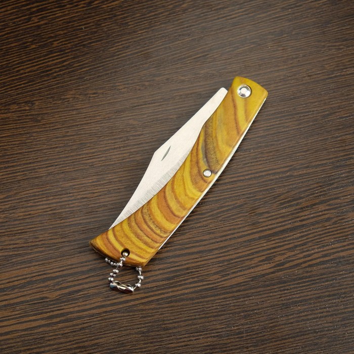 Нож складной "Геркулер" 17,2см, клинок 79мм/1мм - фото 1908215700
