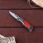 Нож складной «Пескарь», 16.3 см, клинок 70 мм/1 мм - Фото 1