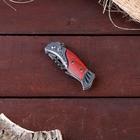 Нож складной «Пескарь», 16.3 см, клинок 70 мм/1 мм - Фото 2