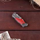 Нож складной «Пескарь», 16.3 см, клинок 70 мм/1 мм - Фото 3