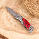 Нож складной «Пескарь», 16.3 см, клинок 70 мм/1 мм - Фото 4