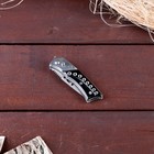 Нож складной «Ёрш», 14.5 см, клинок 60 мм/1.3 мм - Фото 2