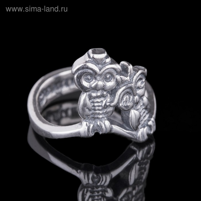 Кольцо "Торотороко", размер 16, цвет чернёное серебро - Фото 1