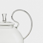 Заварочный чайник Magistro, 1 л, 20.5×15 см, металлическое сито, стекло - Фото 4