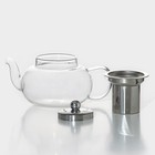 Чайник стеклянный заварочный с металлическим ситом Доляна «Калиопа», 600 мл - фото 4565207