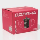 Заварочный чайник Доляна «Калиопа», 600 мл, металлическое сито, стекло, прозрачный - Фото 5