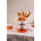 Заварочный чайник Доляна «Калиопа», 600 мл, металлическое сито, стекло, прозрачный - Фото 7