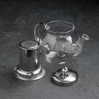 Чайник стеклянный заварочный с металлическим ситом «Калиопа», 400 мл - Фото 3