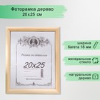 Фоторамка некрашеная 2/3 20х25 см - Фото 1