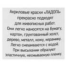 Краска акриловая художественная в банке 220 мл, ЗХК "Ладога", белила титановые, 2223101 - Фото 5