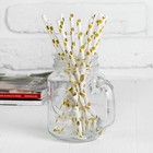 Трубочка для коктейля "Круги", набор 12 шт., цвет золотой - Фото 1