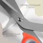 Ножницы портновские, скошенное лезвие, 10", 23 см, цвет МИКС - Фото 2